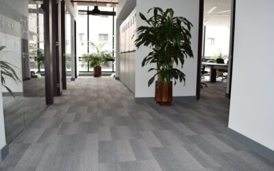 GNP SEGUROS